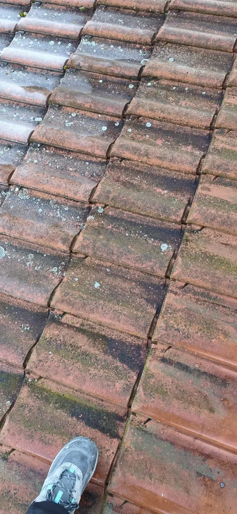 Toiture rénovée par Toit des Dômes à Clermont-Ferrand (22) — vue rapprochée