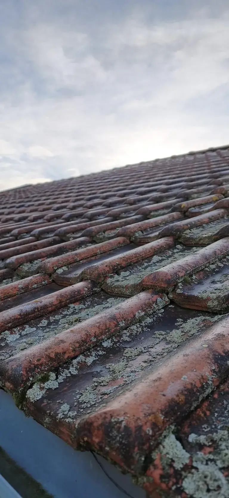 Toiture rénovée par Toit des Dômes à Clermont-Ferrand (23) — vue rapprochée