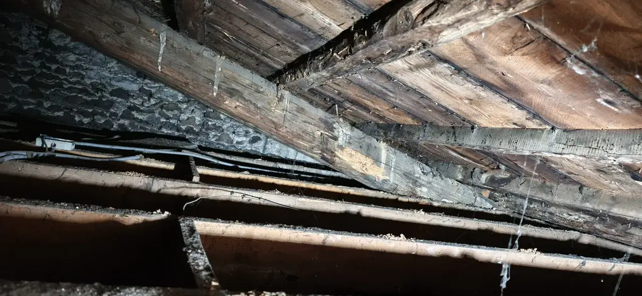 Toiture rénovée par Toit des Dômes à Clermont-Ferrand (46) — vue d'ensemble