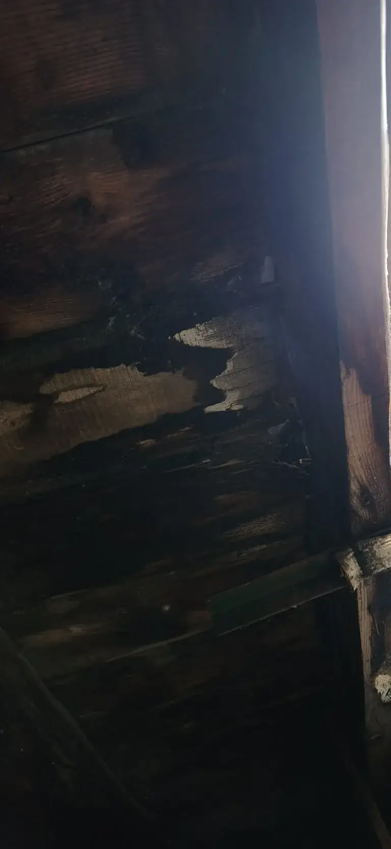 Réparation de toiture en cours par Toit des Dômes (12) — vue rapprochée