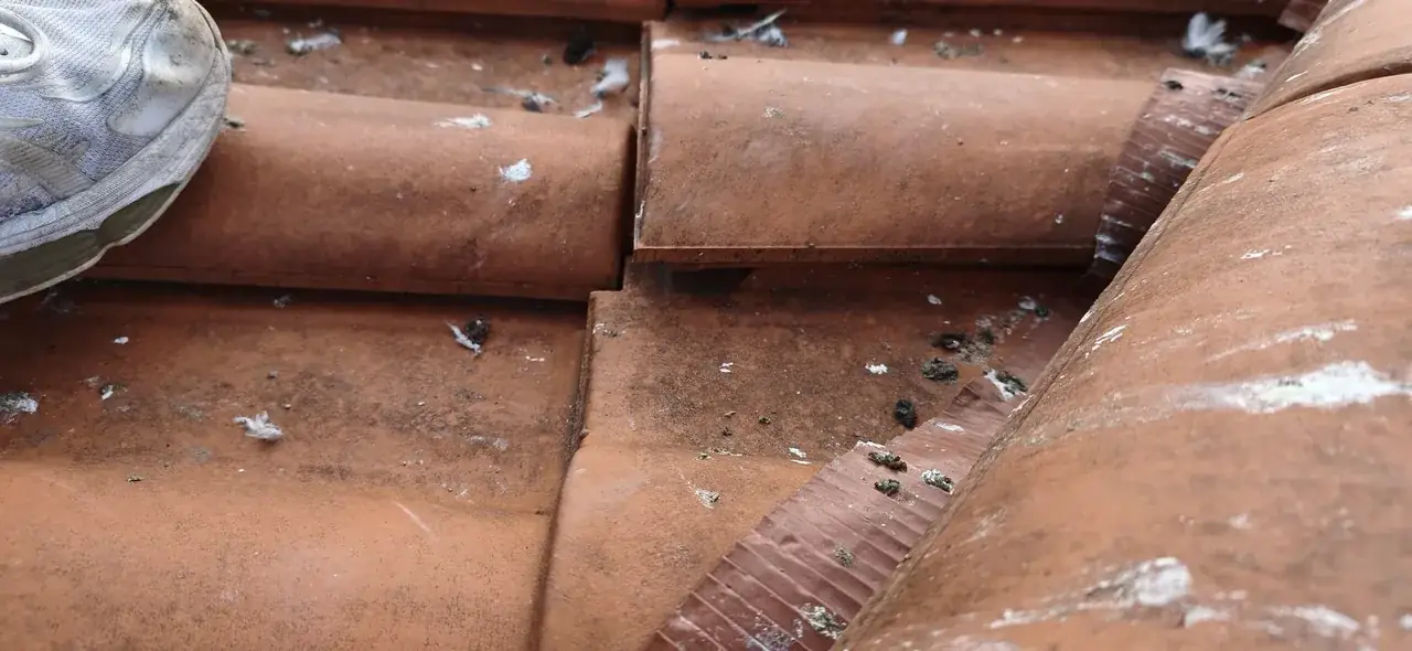 Réparation de toiture en cours par Toit des Dômes (18) — vue d'ensemble