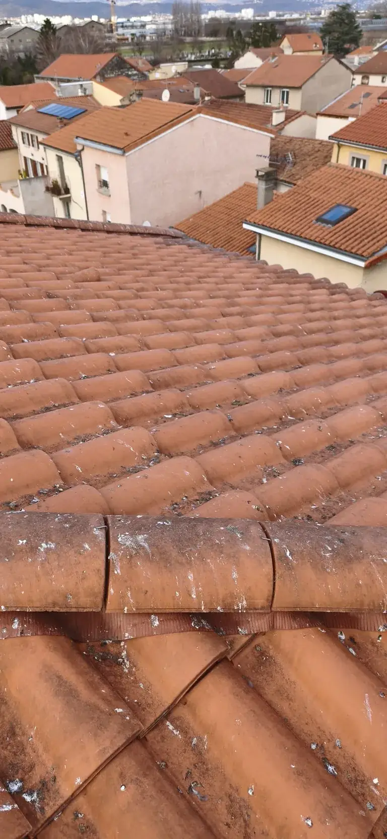 Toiture rénovée par Toit des Dômes à Clermont-Ferrand (74) — vue rapprochée