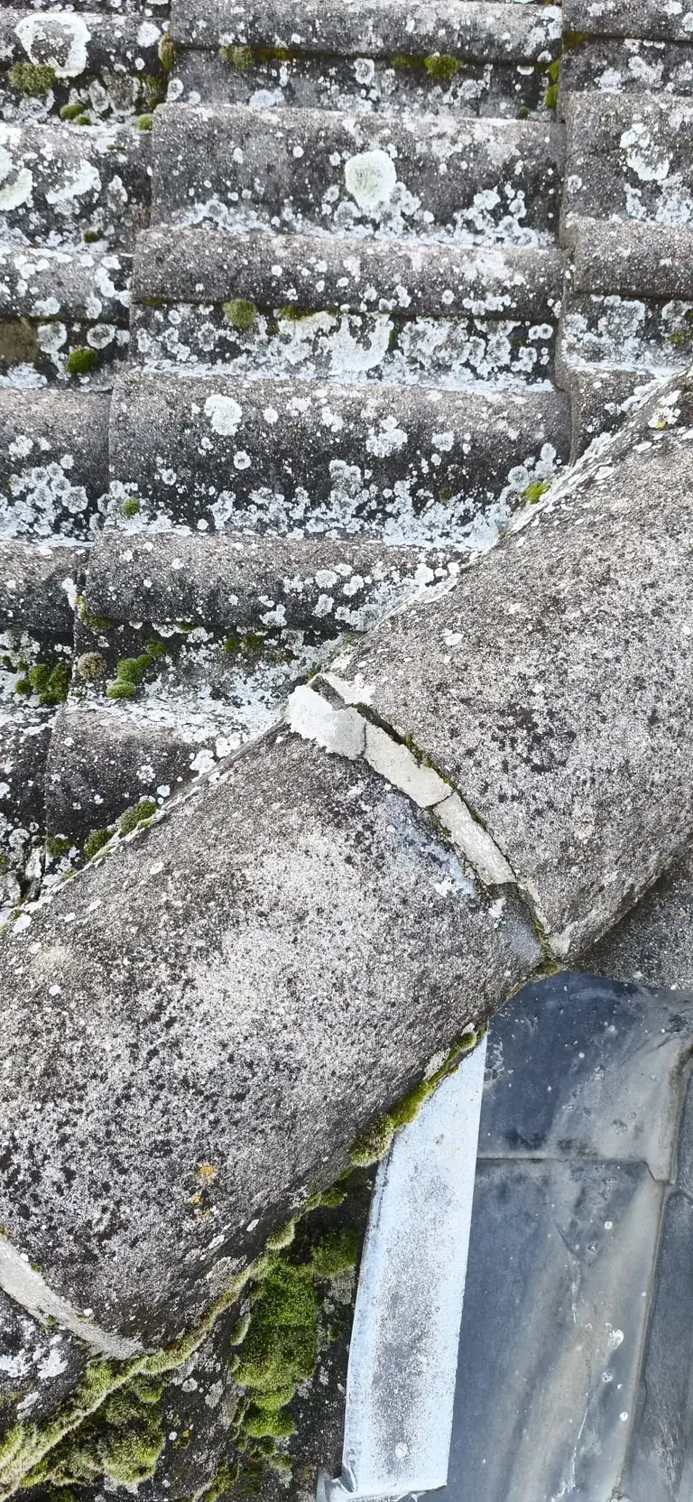 Nettoyage de toiture par Toit des Dômes (5) — vue rapprochée