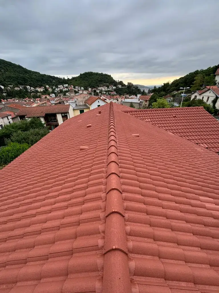 Toiture rénovée par Toit des Dômes à Clermont-Ferrand (97) — vue rapprochée