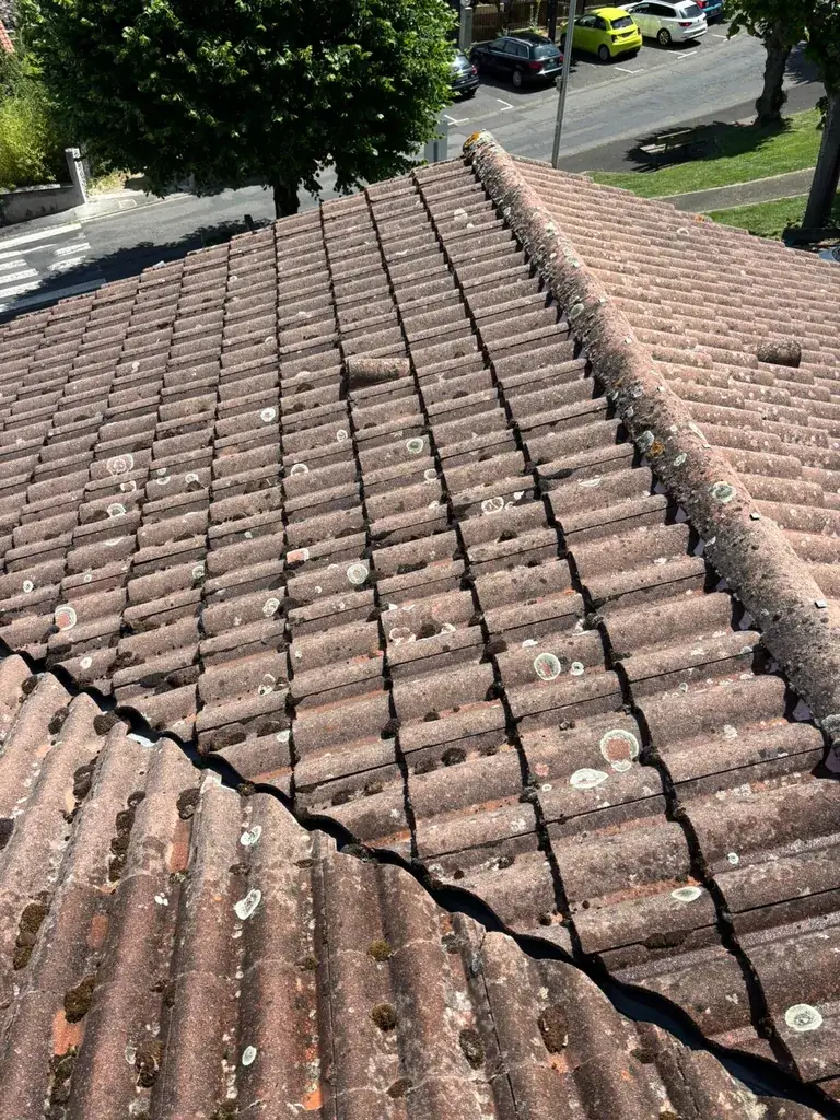 Toiture rénovée par Toit des Dômes à Clermont-Ferrand (102) — vue rapprochée