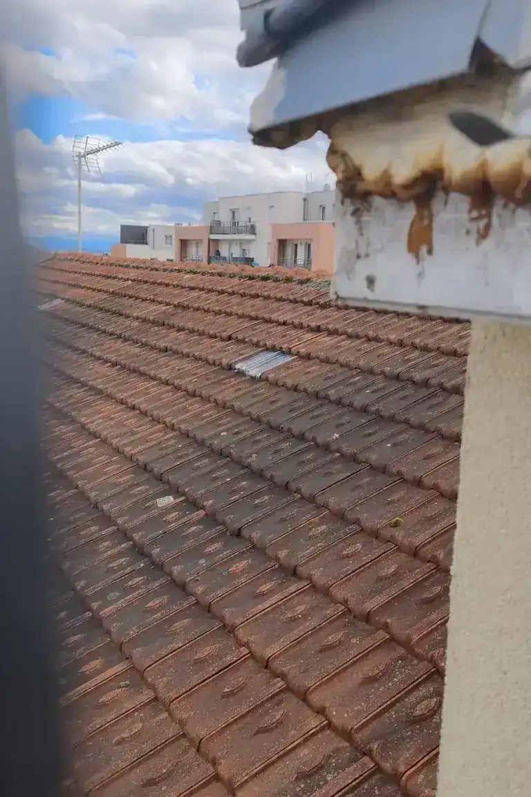 Réalisation toiture à Clermont-Ferrand — Toit des Dômes