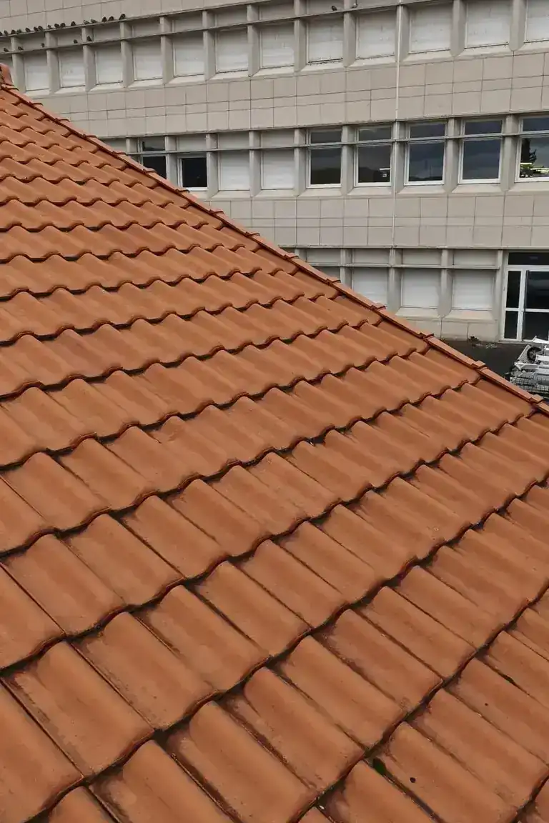 Réalisation toiture à Clermont-Ferrand — Toit des Dômes