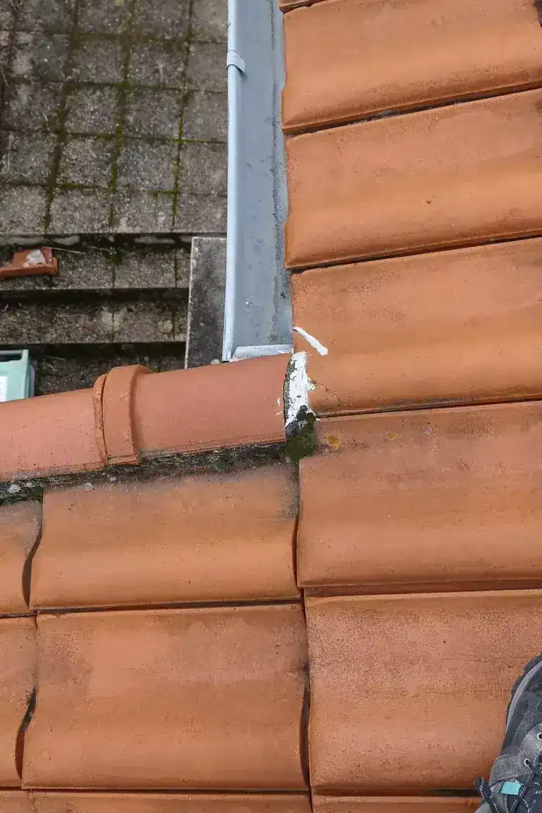 Réalisation toiture à Clermont-Ferrand — Toit des Dômes