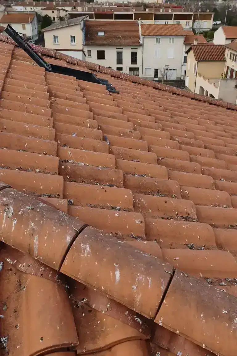 Réalisation toiture à Clermont-Ferrand — Toit des Dômes