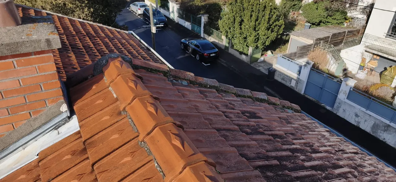 Réalisation toiture à Clermont-Ferrand — Toit des Dômes